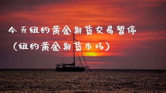 今天纽约黄金期货交易暂停（纽约黄金期货市场）_https://www.qdlswl.com_股指_第1张