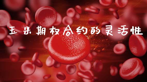玉米期权合约的灵活性_https://www.qdlswl.com_外盘_第1张