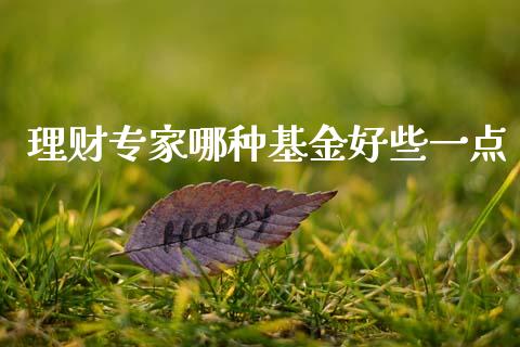 理财专家哪种基金好些一点_https://www.qdlswl.com_理财_第1张