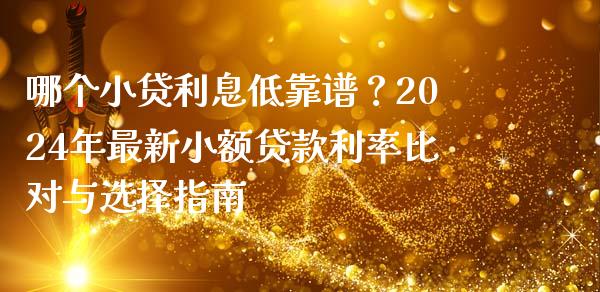 哪个小贷利息低靠谱？2024年最新小额贷款利率比对与选择指南_https://www.qdlswl.com_理财_第1张