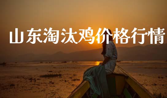 山东淘汰鸡价格行情_https://www.qdlswl.com_股指_第1张
