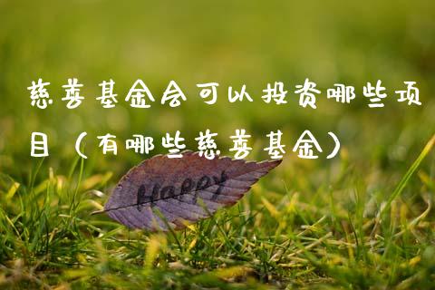 慈善基金会可以投资哪些项目（有哪些慈善基金）_https://www.qdlswl.com_基金_第1张