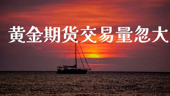 黄金期货交易量忽大_https://www.qdlswl.com_期货_第1张