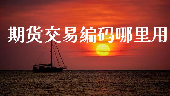 期货交易编码哪里用_https://www.qdlswl.com_基金_第1张