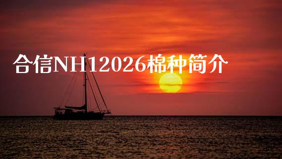 合信NH12026棉种简介_https://www.qdlswl.com_股指_第1张