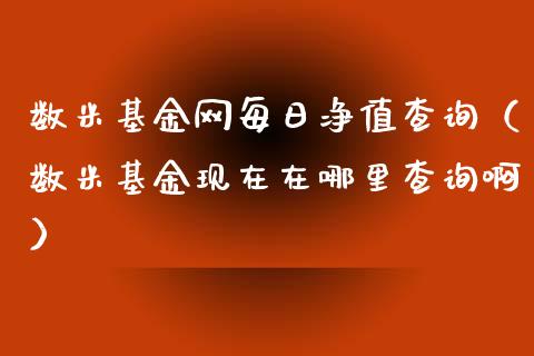 数米基金网每日净值查询（数米基金现在在哪里查询啊）_https://www.qdlswl.com_基金_第1张