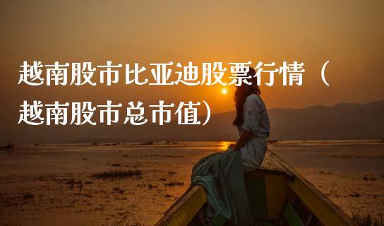 越南股市比亚迪股票行情（越南股市总市值）_https://www.qdlswl.com_股票_第1张