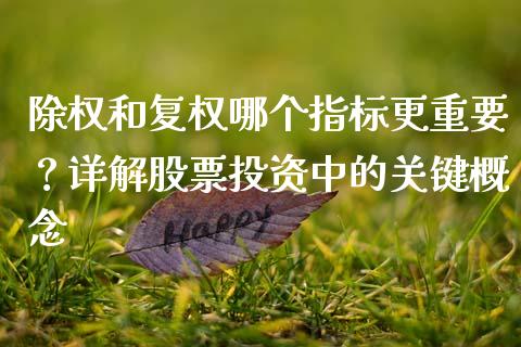 除权和复权哪个指标更重要？详解股票投资中的关键概念_https://www.qdlswl.com_股指_第1张