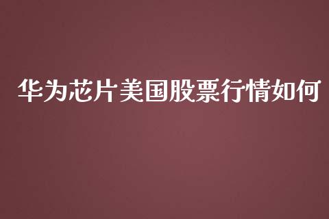 华为芯片美国股票行情如何_https://www.qdlswl.com_内盘_第1张