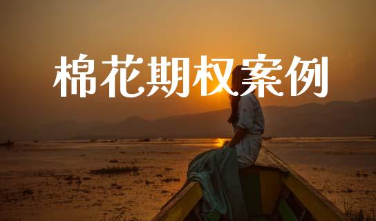 棉花期权案例_https://www.qdlswl.com_期货_第1张