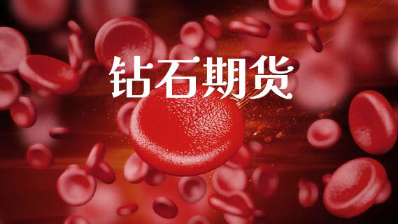 钻石期货_https://www.qdlswl.com_基金_第1张