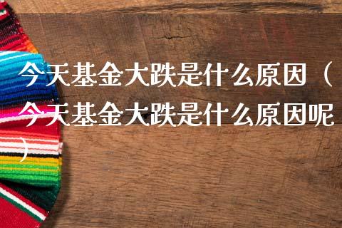 今天基金大跌是什么原因（今天基金大跌是什么原因呢）_https://www.qdlswl.com_基金_第1张