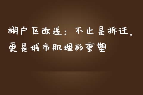 棚户区改造：不止是拆迁，更是城市肌理的重塑_https://www.qdlswl.com_内盘_第1张