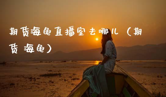 期货海龟直播室去哪儿（期货 海龟）_https://www.qdlswl.com_直播_第1张