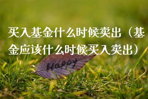买入基金什么时候卖出（基金应该什么时候买入卖出）_https://www.qdlswl.com_基金_第1张