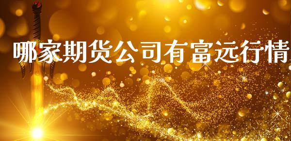哪家期货公司有富远行情_https://www.qdlswl.com_股指_第1张