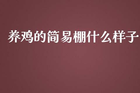 养鸡的简易棚什么样子_https://www.qdlswl.com_期货_第1张
