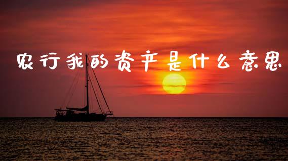 农行我的资产是什么意思_https://www.qdlswl.com_期货_第1张