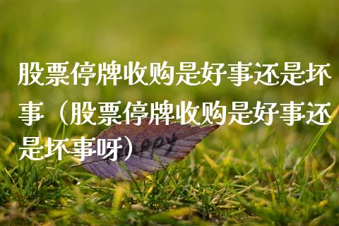 股票停牌收购是好事还是坏事（股票停牌收购是好事还是坏事呀）_https://www.qdlswl.com_内盘_第1张