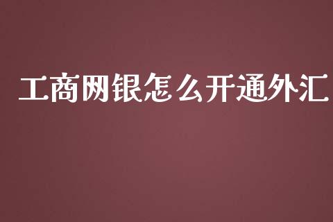 工商网银怎么开通外汇_https://www.qdlswl.com_外盘_第1张