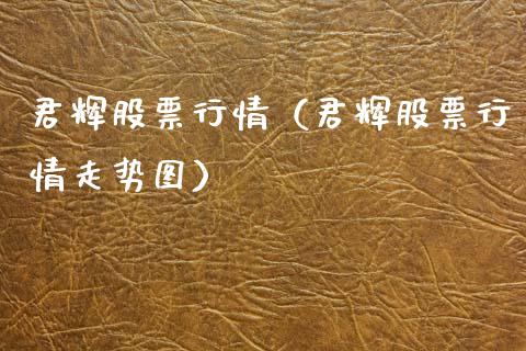 君辉股票行情（君辉股票行情走势图）_https://www.qdlswl.com_外盘_第1张