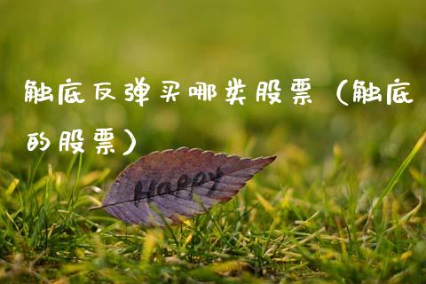 触底反弹买哪类股票（触底的股票）_https://www.qdlswl.com_外盘_第1张