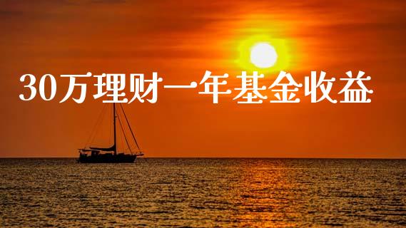 30万理财一年基金收益_https://www.qdlswl.com_理财_第1张