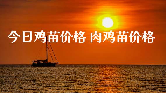 今日鸡苗价格 肉鸡苗价格_https://www.qdlswl.com_期货_第1张