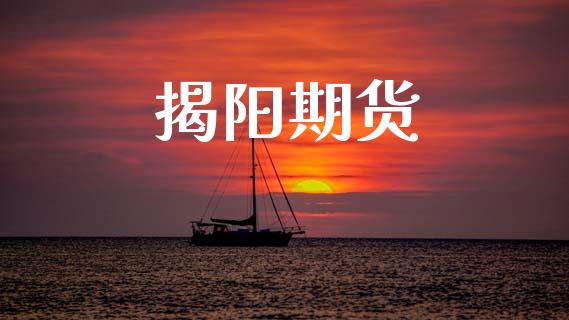 揭阳期货_https://www.qdlswl.com_基金_第1张