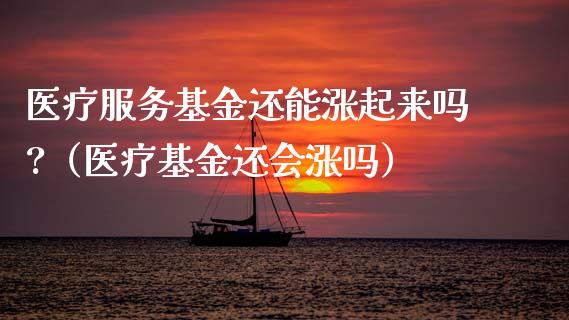 医疗服务基金还能涨起来吗?（医疗基金还会涨吗）_https://www.qdlswl.com_基金_第1张