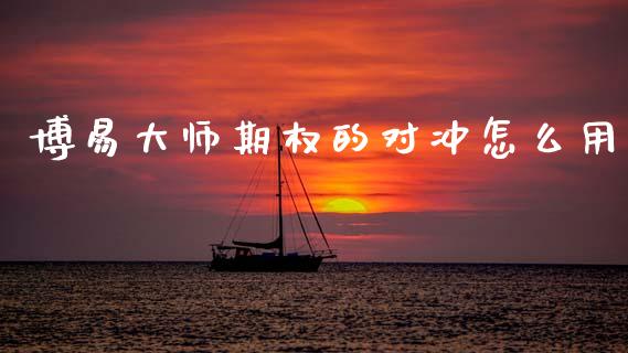 博易大师期权的对冲怎么用_https://www.qdlswl.com_期货_第1张