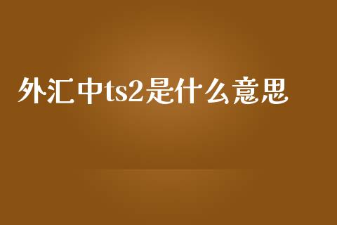 外汇中ts2是什么意思_https://www.qdlswl.com_内盘_第1张