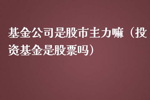 基金公司是股市主力嘛（投资基金是股票吗）_https://www.qdlswl.com_理财_第1张