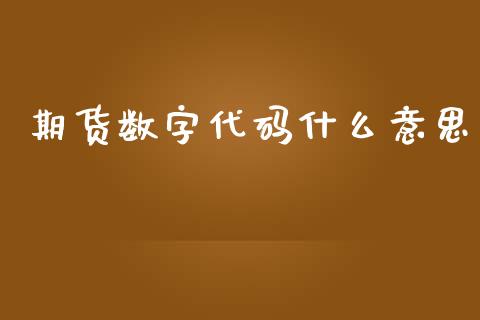 期货数字代码什么意思_https://www.qdlswl.com_外盘_第1张