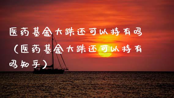 医药基金大跌还可以持有吗（医药基金大跌还可以持有吗知乎）_https://www.qdlswl.com_理财_第1张