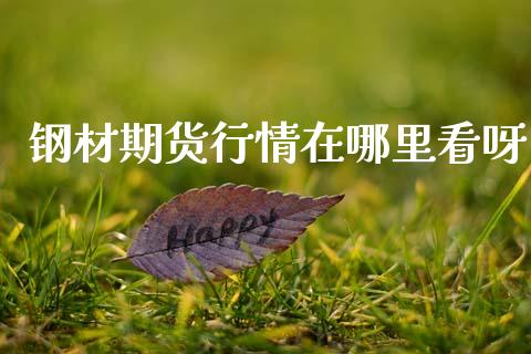 钢材期货行情在哪里看呀_https://www.qdlswl.com_直播_第1张