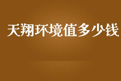 天翔环境值多少钱_https://www.qdlswl.com_基金_第1张