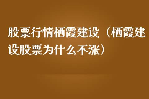 股票行情栖霞建设（栖霞建设股票为什么不涨）_https://www.qdlswl.com_外盘_第1张