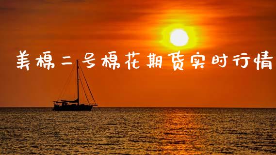 美棉二号棉花期货实时行情_https://www.qdlswl.com_股指_第1张