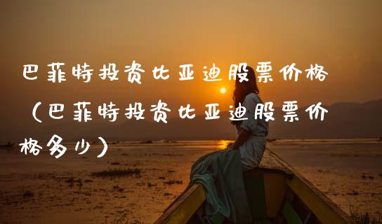 巴菲特投资比亚迪股票价格（巴菲特投资比亚迪股票价格多少）_https://www.qdlswl.com_股票_第1张