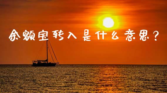 余额宝转入是什么意思？_https://www.qdlswl.com_期货_第1张