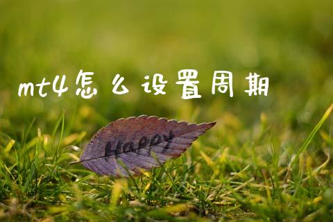 mt4怎么设置周期_https://www.qdlswl.com_直播_第1张
