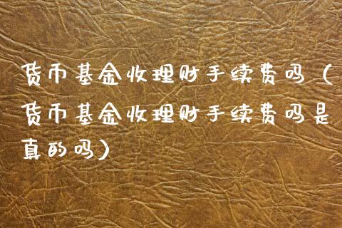 货币基金收理财手续费吗（货币基金收理财手续费吗是真的吗）_https://www.qdlswl.com_理财_第1张