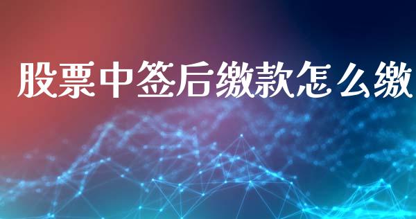 股票中签后缴款怎么缴_https://www.qdlswl.com_基金_第1张
