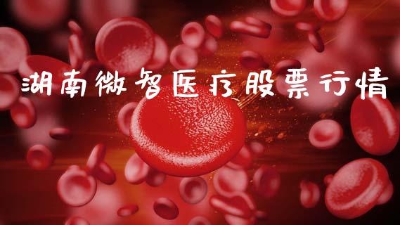 湖南微智医疗股票行情_https://www.qdlswl.com_股票_第1张