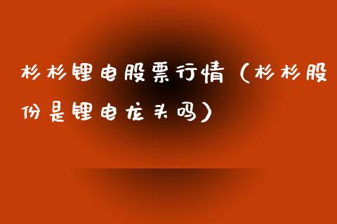 杉杉锂电股票行情（杉杉股份是锂电龙头吗）_https://www.qdlswl.com_外盘_第1张
