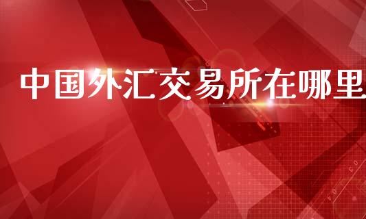中国外汇交易所在哪里_https://www.qdlswl.com_理财_第1张