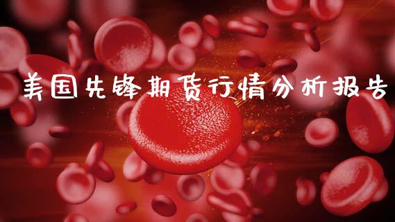 美国先锋期货行情分析报告_https://www.qdlswl.com_股指_第1张