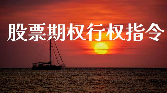 股票期权行权指令_https://www.qdlswl.com_股指_第1张