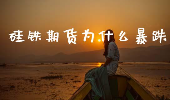 硅铁期货为什么暴跌_https://www.qdlswl.com_理财_第1张
